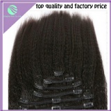 clip in hair extensions